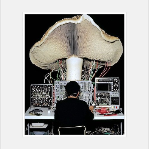 Mushroom Jazz Vol. 4 | Various Artsts | Mark Farina