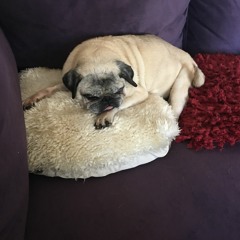 Love Letter Memory Demo 2.0 Ver 3