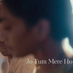 Jo Tum Mere Ho - Reprise Cover