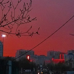 andersrum (p. young lime)