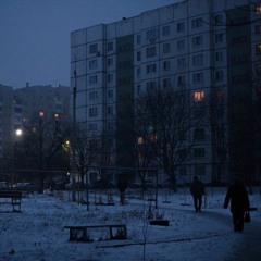 Сова - Первый снег