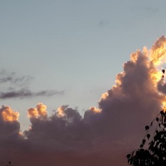 #after dark#cover tito und tarantula#Filmmusik #titti twister#from dusk till dawn