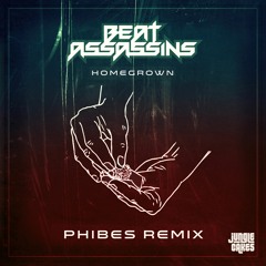 Beat Assassins - Home Grown (Phibes Remix) Jungle Cakes