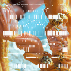 PREMIERE: Gesture - PH0L8 [Gesture]