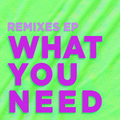 What You Need (Gяeg Remix)