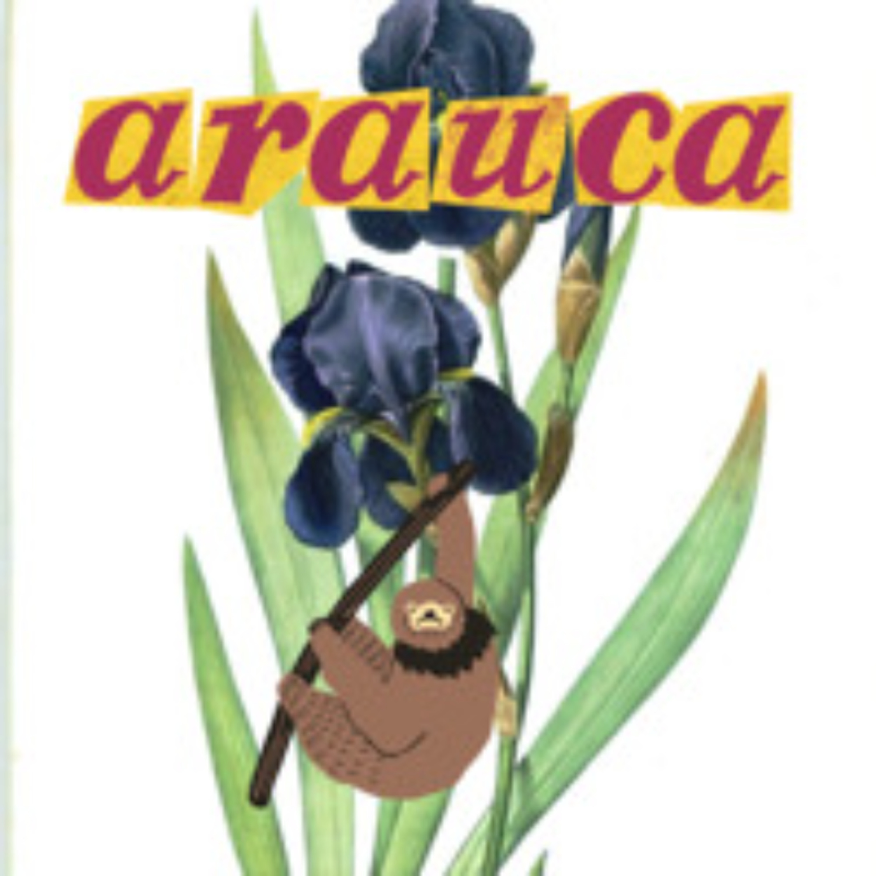 Paisajes Sonoros Archivo de Prensa - Arauca episode artwork