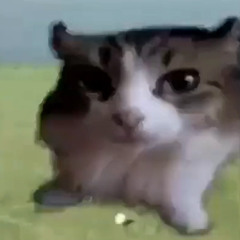 Русский.mp3