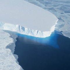 Antarctic Ice Missing, Arctic Peatlands Expanding, Nuts to Feed the World and more
