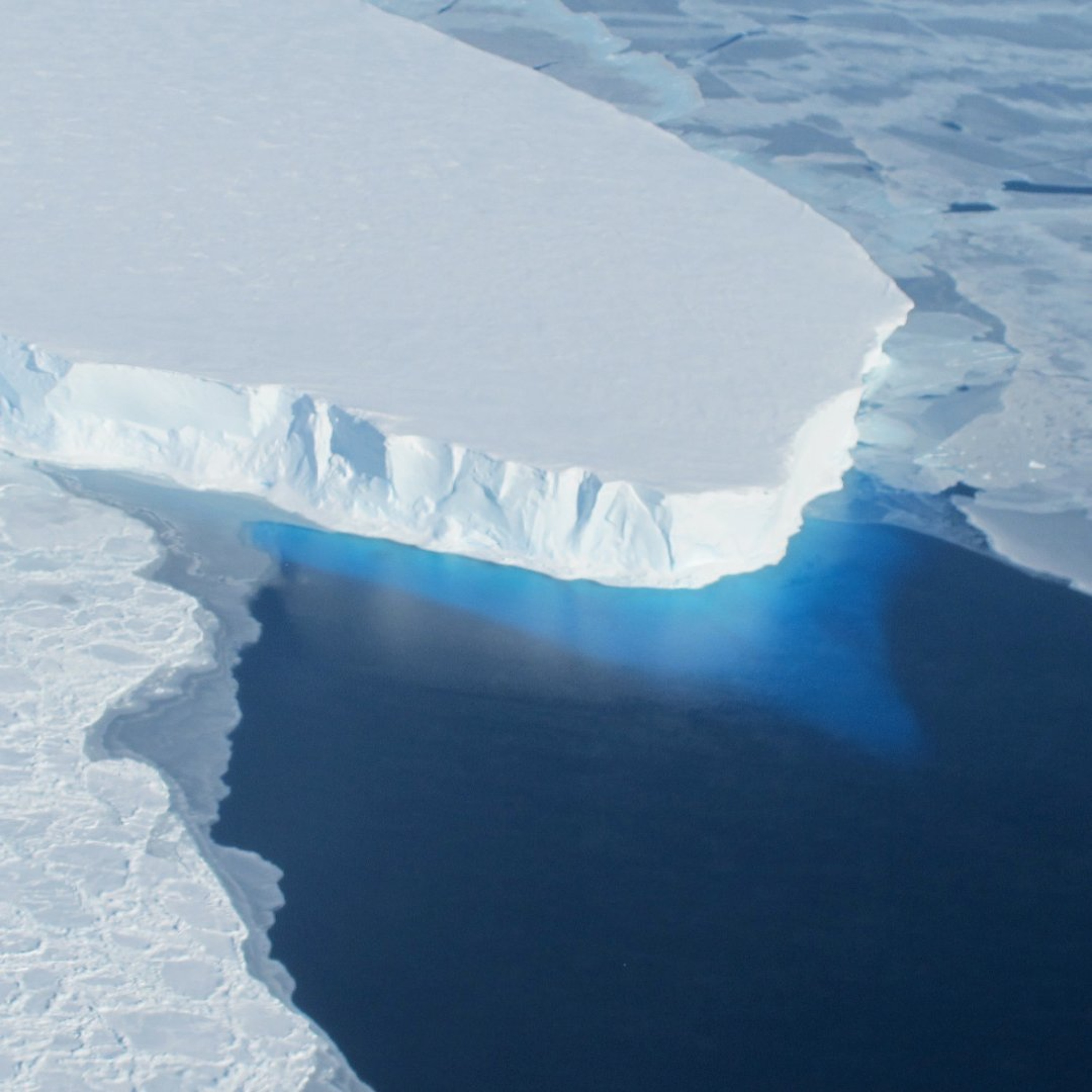 Antarctic Ice Missing, Arctic Peatlands Expanding, Nuts to Feed the World and more episode artwork