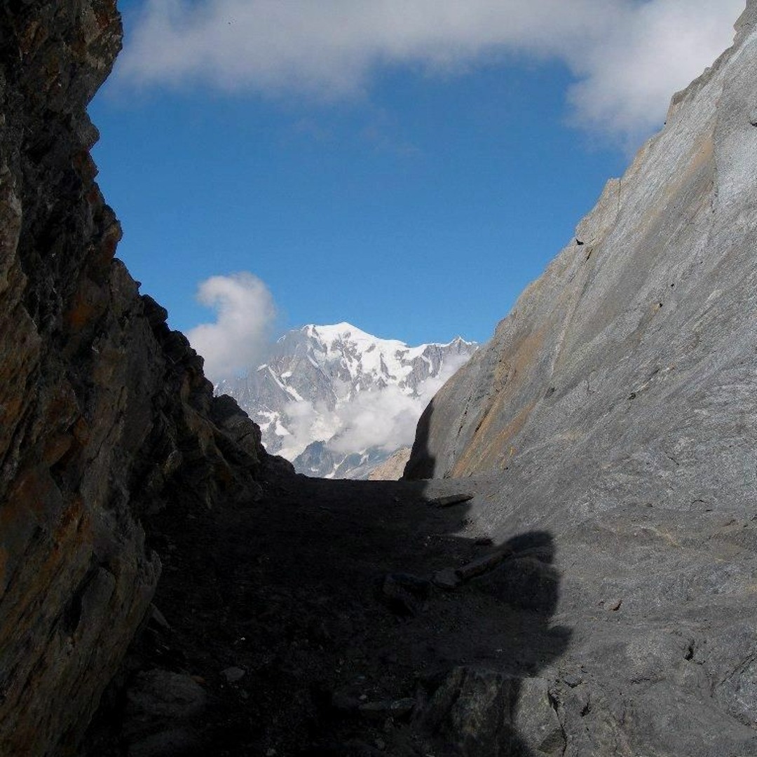 Stream King Krule You'll Never Guess What Happened Next... by