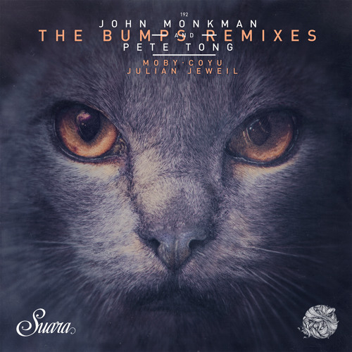 The Bumps (Julian Jeweil Remix)