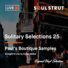 Beastie Boys Paul's Boutique Samples  - All Vinyl Live Funk DJ Set - Solitary Selections Ep. 25