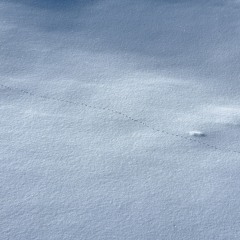 Why Do You Wanna Hurt Me