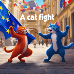 A cat fight
