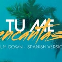 Tu me encantas - J Cob (Spanish version) Calm Down (REMIX JULES JASSO)