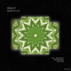 PREMIERE: Wailey - Yin-Yang [Polyptych Noir]