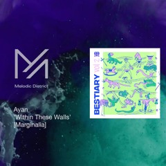 premiere: Ayan - Within These Walls [Marginalia]