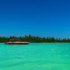 Saona