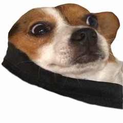 Think they know Ft. YNG Martyr