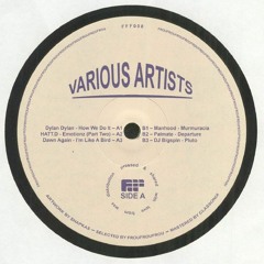 Various Artists [FFF008] Vinyl Only