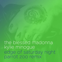 Edge Of Saturday Night (Parrot Zoo Stay Focused Remix)