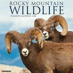 ( g2v ) Rocky Mountain Wildlife 2023 Wall Calendar by  Willow Creek Press ( ISNj )