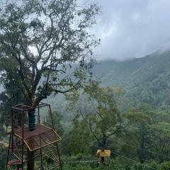 Trip Away the Mask.wav