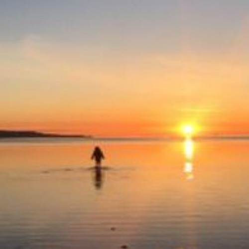 The Easy Jesus Tour: Part 3, The Seven Sacred Emotions (Rev. Bill Williams, 11/28/21)