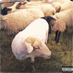 CHIN UP, LIL FELLA (prod. SPHYNX)