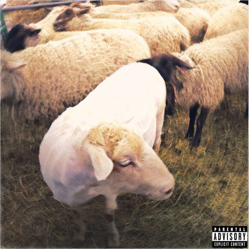 CHIN UP, LIL FELLA (prod. SPHYNX)