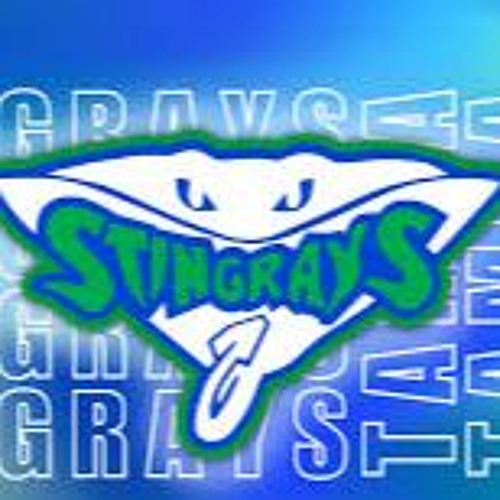 Stingray Allstars Wave 2023-2024