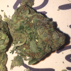 “put a hofo on it” ft.bodeine ft.jaden ft.jburd