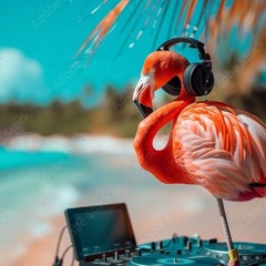 MooNlight - Erez In The Nature Party  15.06.24  Live Set