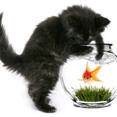 I’m Not From Around Here