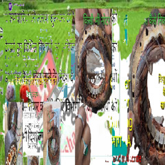 की मरम्मत 1