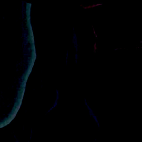 Won't Call (prod. by 16preme)