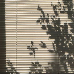 Misidentify Me - Melchi x PROFF [Mashup]