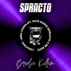 Ludacris - Area Codes (ft. Nate Dogg) (Spracto X Brodie Killem Edit)