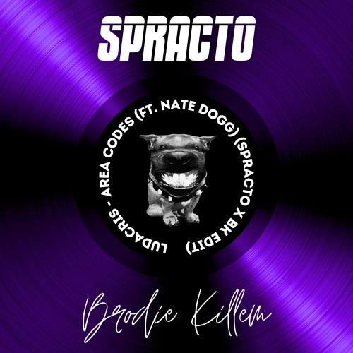 Stream Ludacris - Area Codes (ft. Nate Dogg) (Spracto X Brodie Killem ...