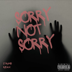 SORRY NOT SORRY (CTRIP® REMIX)