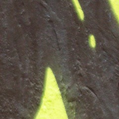 SEREH