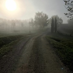 WhenWillYou | Log vii