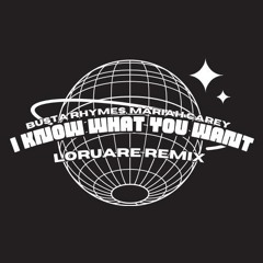 I Know What You Want (Remix) [Master]