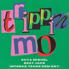 TRIPPIN MO beatjack