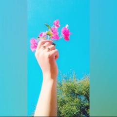 Meena oor dy zargeya❤️✨🌺