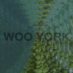 Woo York (live)Secret Weapons Part 13 Mix