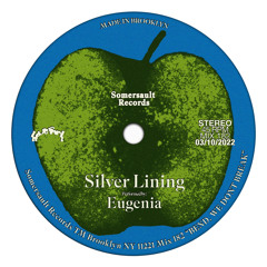 Somersault 182 (Eugenia) “Silver Lining”
