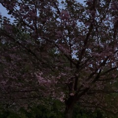 for ma alien homies | 07.06