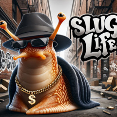 Californibration (The Directors Cut)