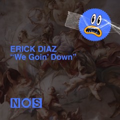 Erick Diaz - We Goin' Down [No Ones Safe] [MI4L.com]